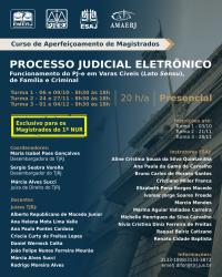 Imagem do banner principal do curso - Processo Judicial Eletrônico- Funcionamento do PJ-e em Varas Cíveis (Lato Sensu), de Família e Criminal - Turma 1